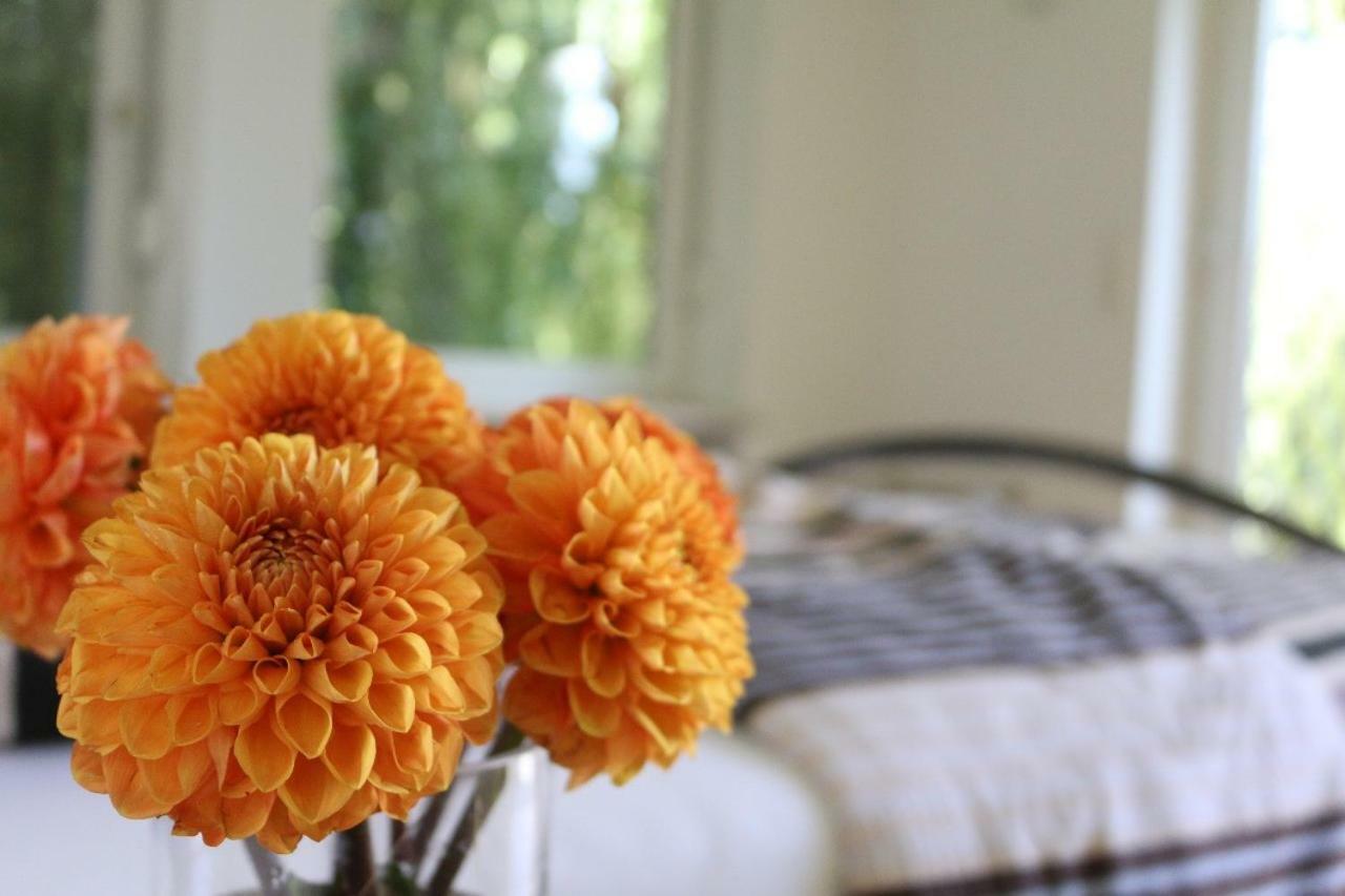 Ferienwohnung Amperblick Fuerstenfeldbruck Dış mekan fotoğraf
